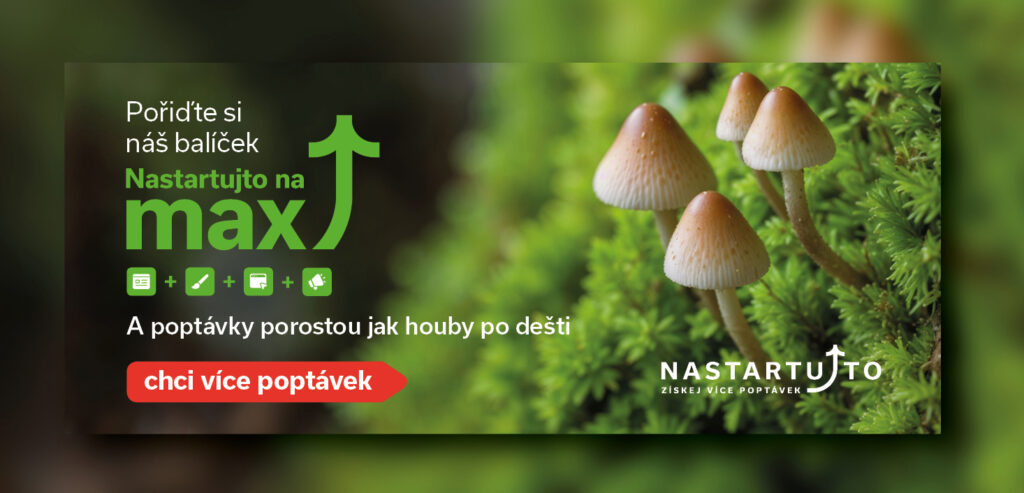 Nastartujto – logo a korporátní identita